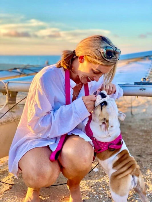 English Bulldog Behavior & Temperament