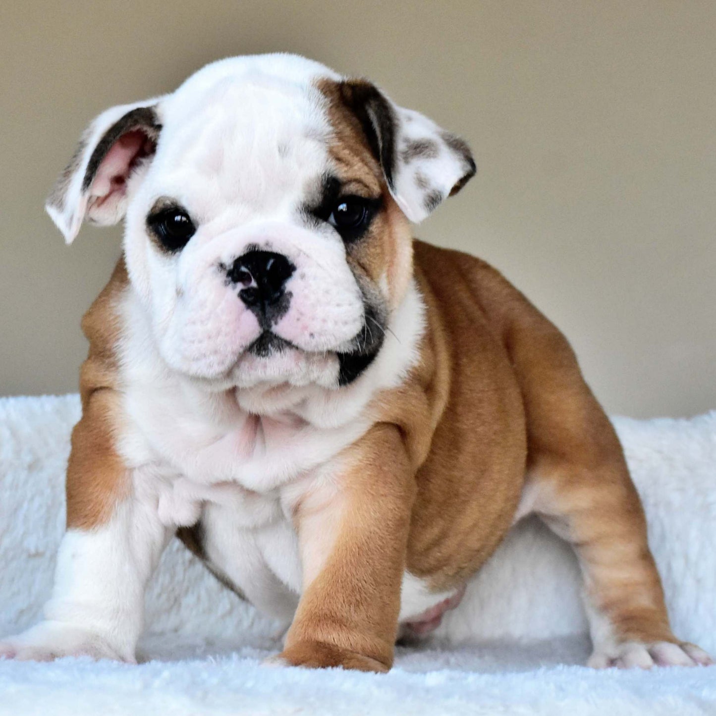 OSCAR (Boy)