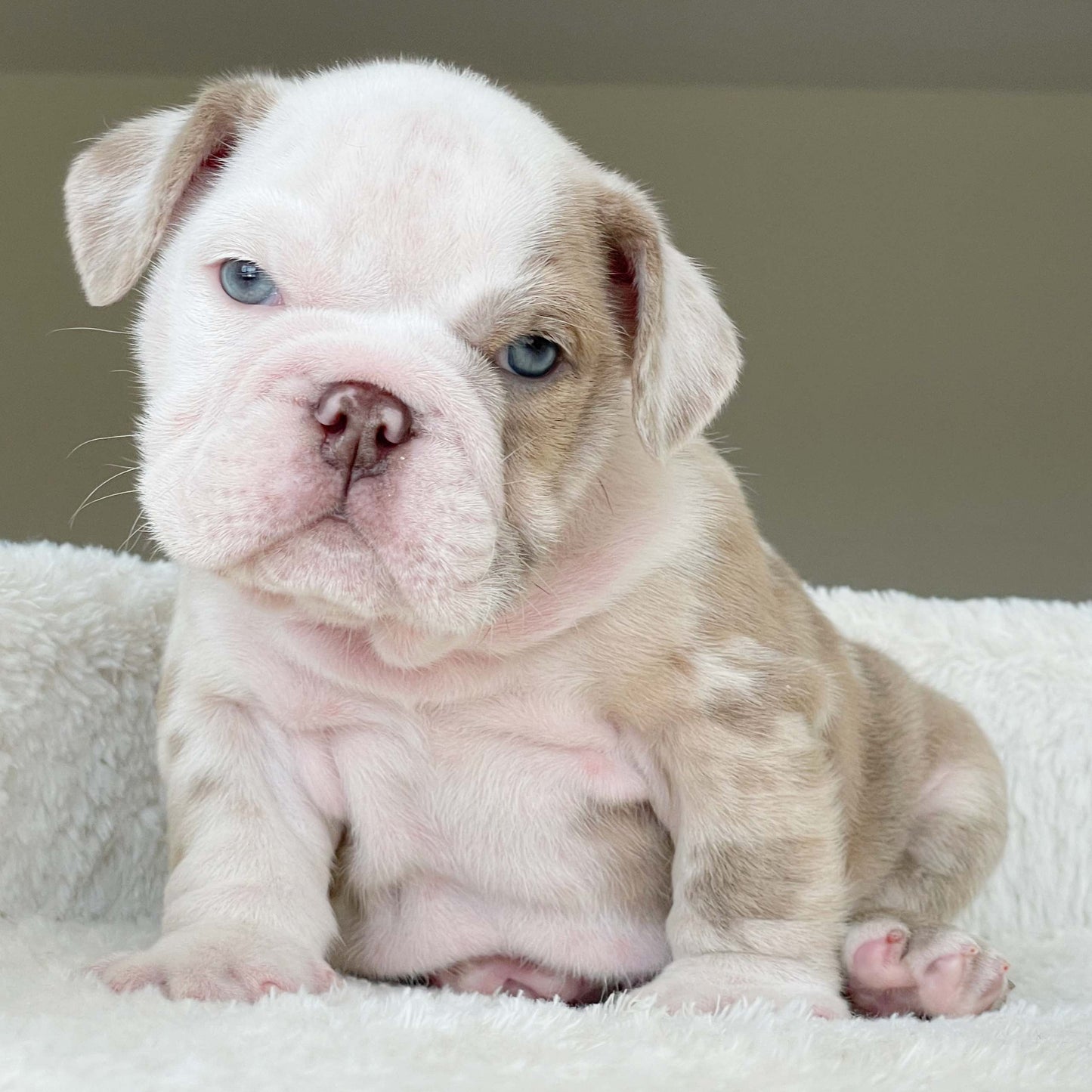 CRUZ (Boy)
