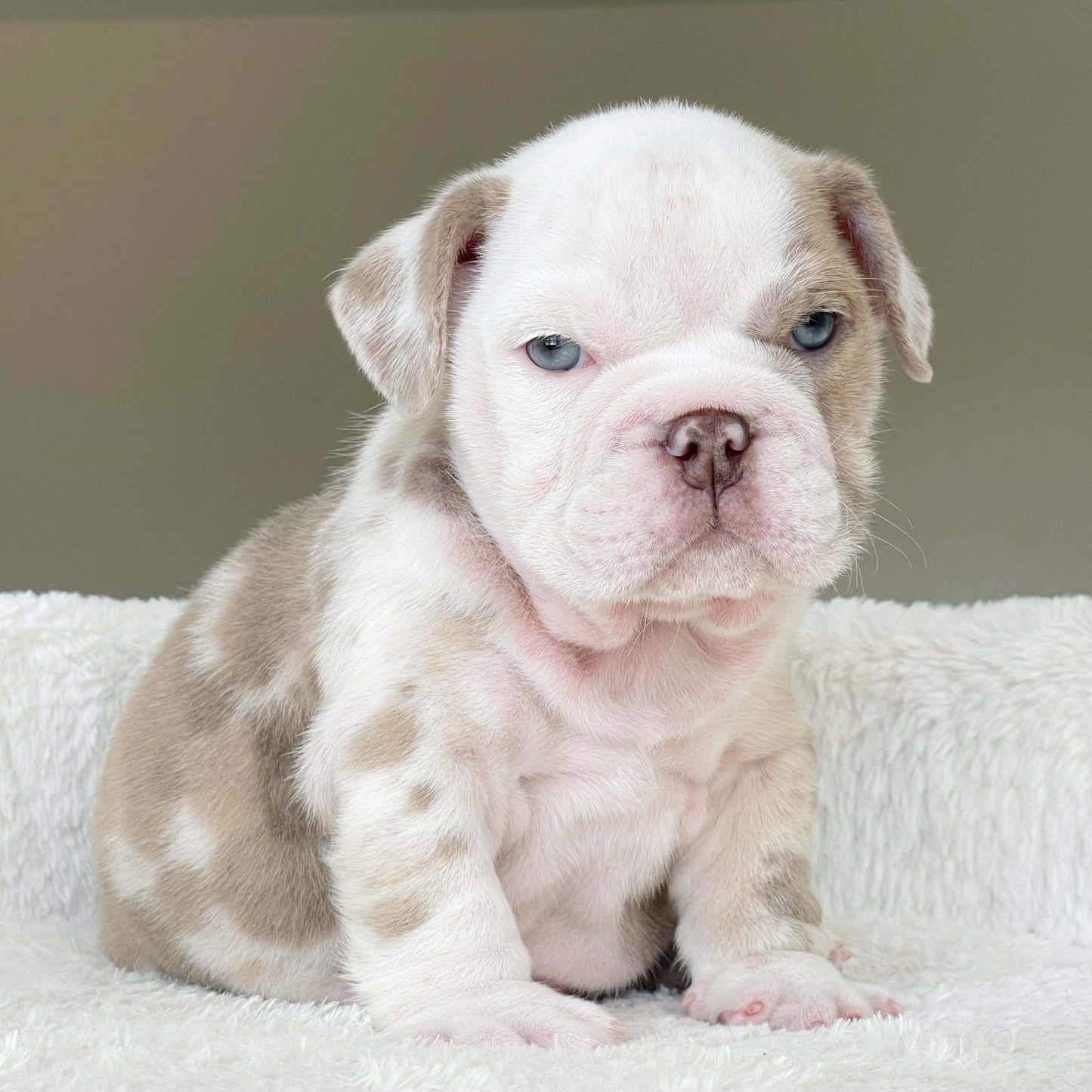 CRUZ (Boy)