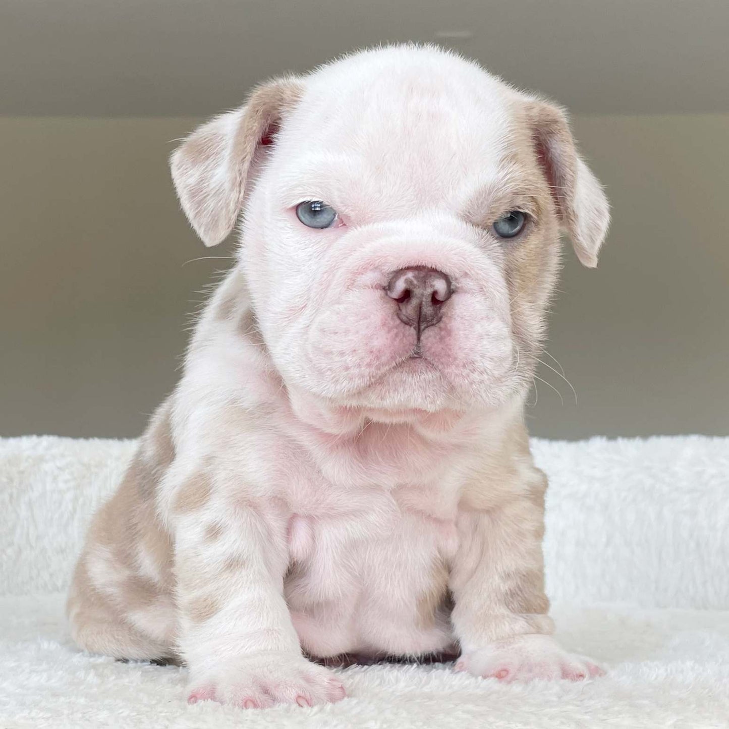 CRUZ (Boy)