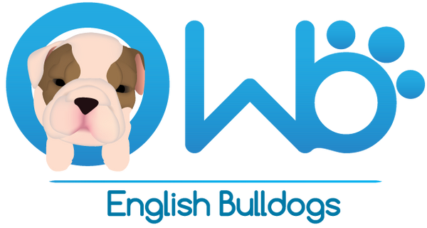 WB English Bulldogs