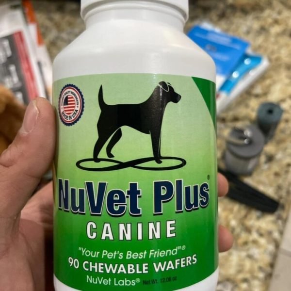 Essential Vitamins and Supplements for English Bulldogs - WB English Bulldogs