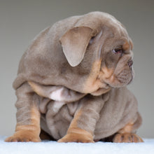 CORA $3,500