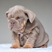 CORA $3,500