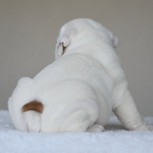COTTON - $3,000