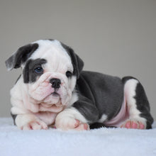 DIEGO - $3300