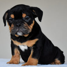 CIRO - $3,000
