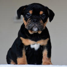 CIRO - $3,000