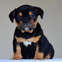 CIRO - $3,000