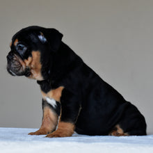 CIRO - $3,000