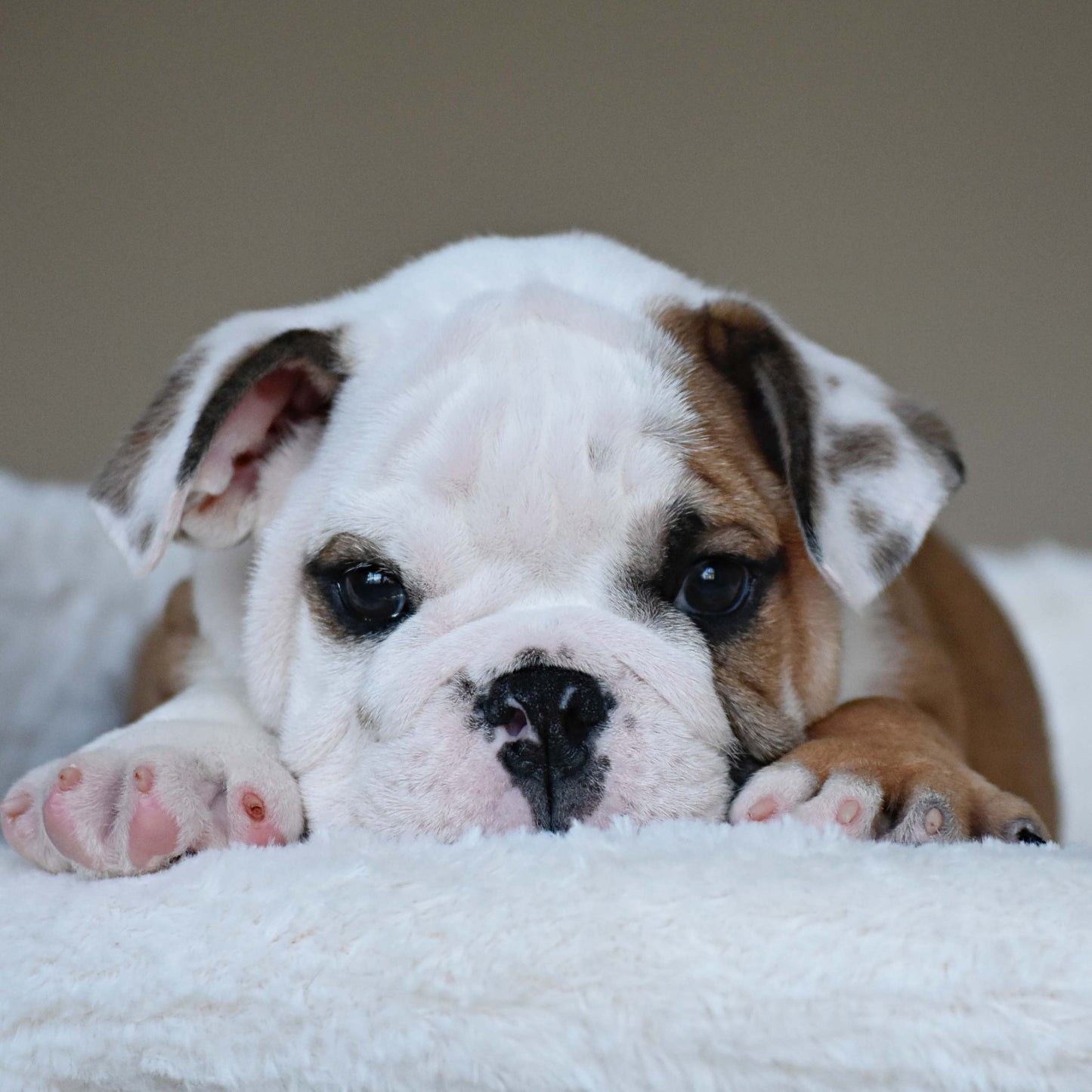 OSCAR (Boy)