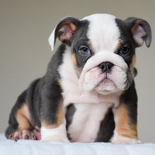 ELLIOT - $3,200