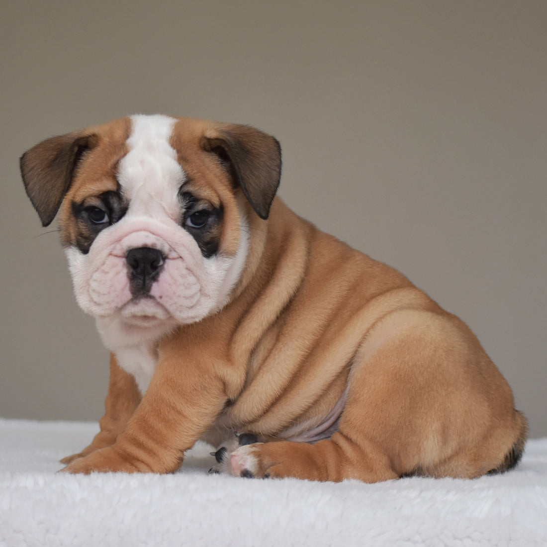 💎 HENRY - $3000