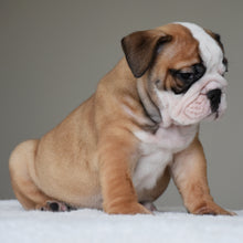 💎 HENRY - $3000