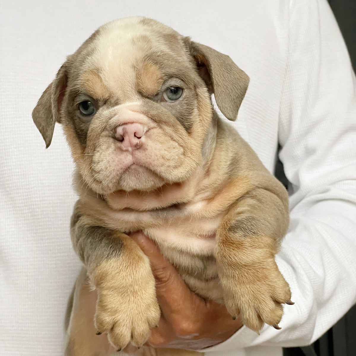 NALA - $3,300