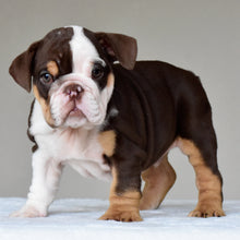 JACE - $3200