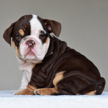 JACE - $3200