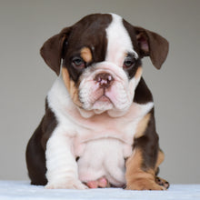 JACE - $3200