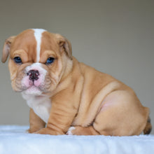 JUNO $3,200