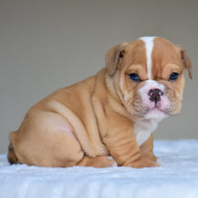 JUNO $3,200