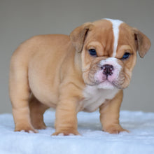 JUNO $3,200