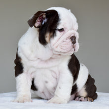KIRA - $3,200