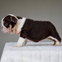KISESS - $3,200
