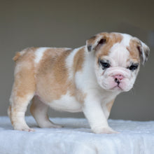 MILA $3,000