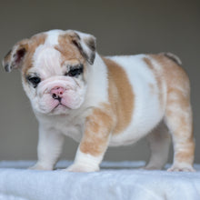 MILA $3,000