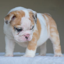 MILA $3,000