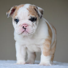 MILA $3,000