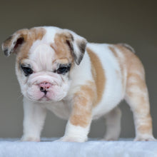 MILA $3,000