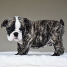 NILO - $2,800