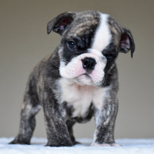 NILO - $2,800