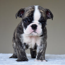 NILO - $2,800