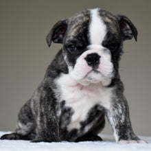 NILO - $2,800