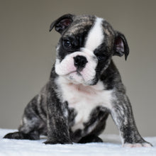 NILO - $2,800