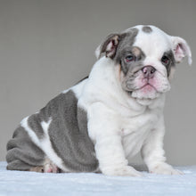 NALA - $3500
