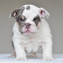 NALA - $3500