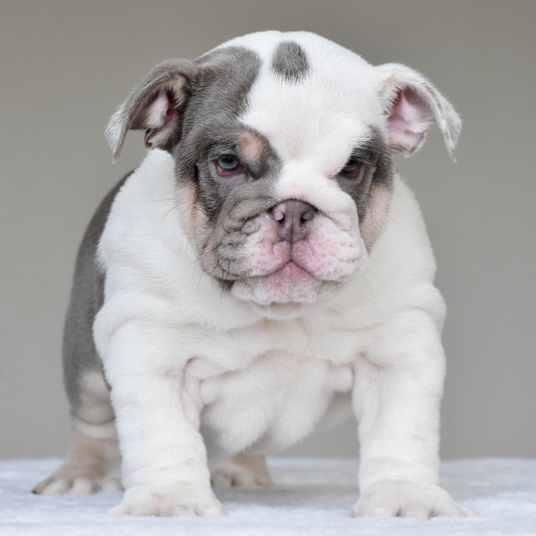 NALA - $3500