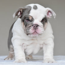 NALA - $3500