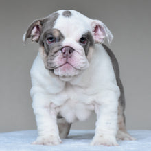 NALA - $3500