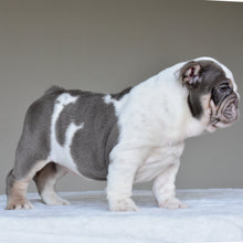 NALA - $3500