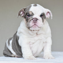 NALA - $3500
