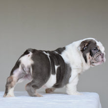 NALA - $3500