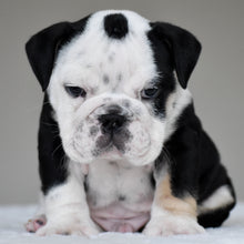 OREO - $3,000