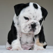 OREO - $3,000