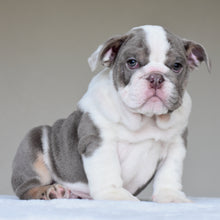 ONYX - $3,500