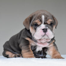 RIO - $3,300